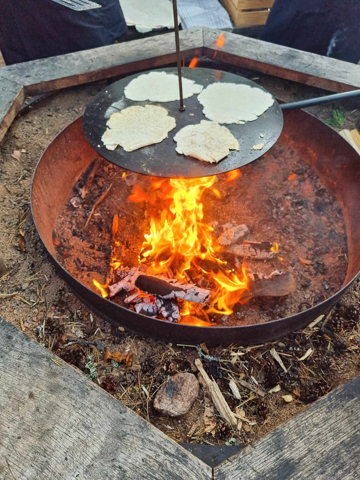 Grilla i skogen