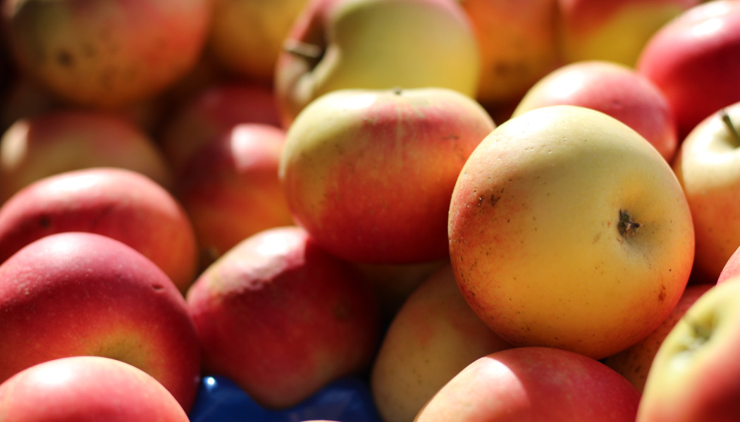 En hög med äpplen