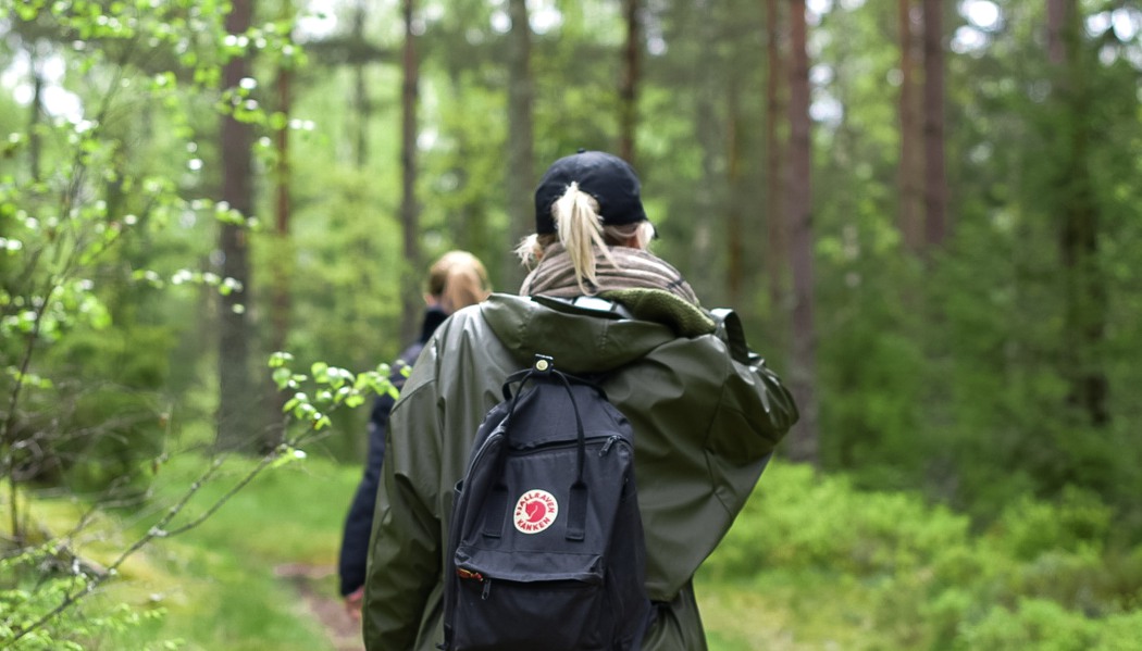 Två personer som vandrar i en skog.