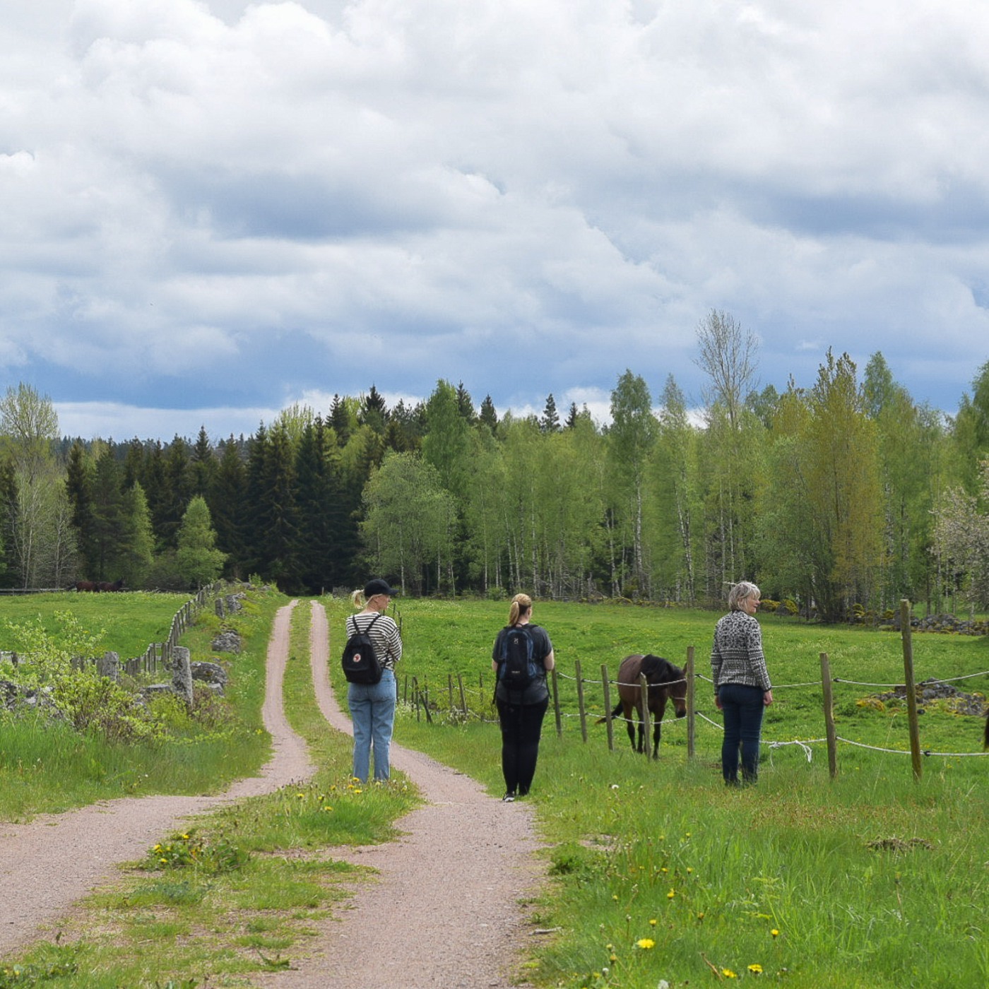 Människor på grusväg vid en hästhage