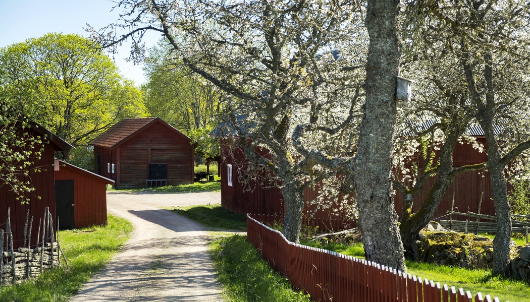 Grusväg mellan husen i Bondbyn Böresbo