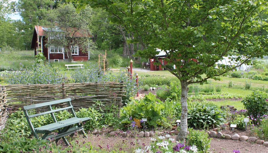 Fobos trädgård