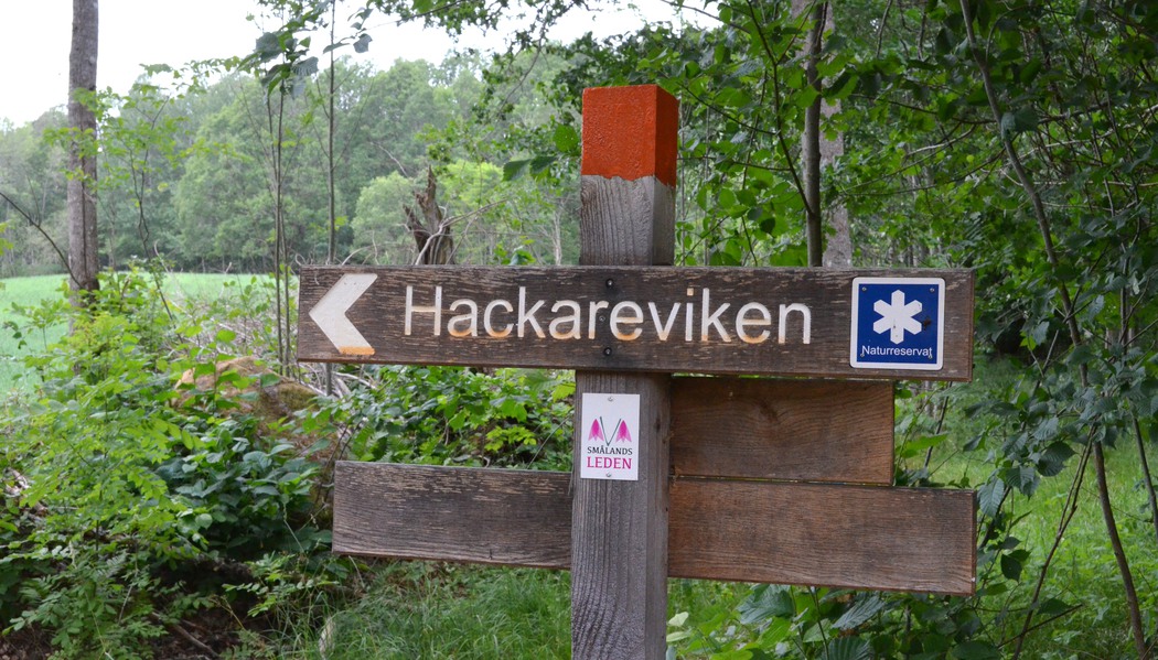 Skylt i skogen