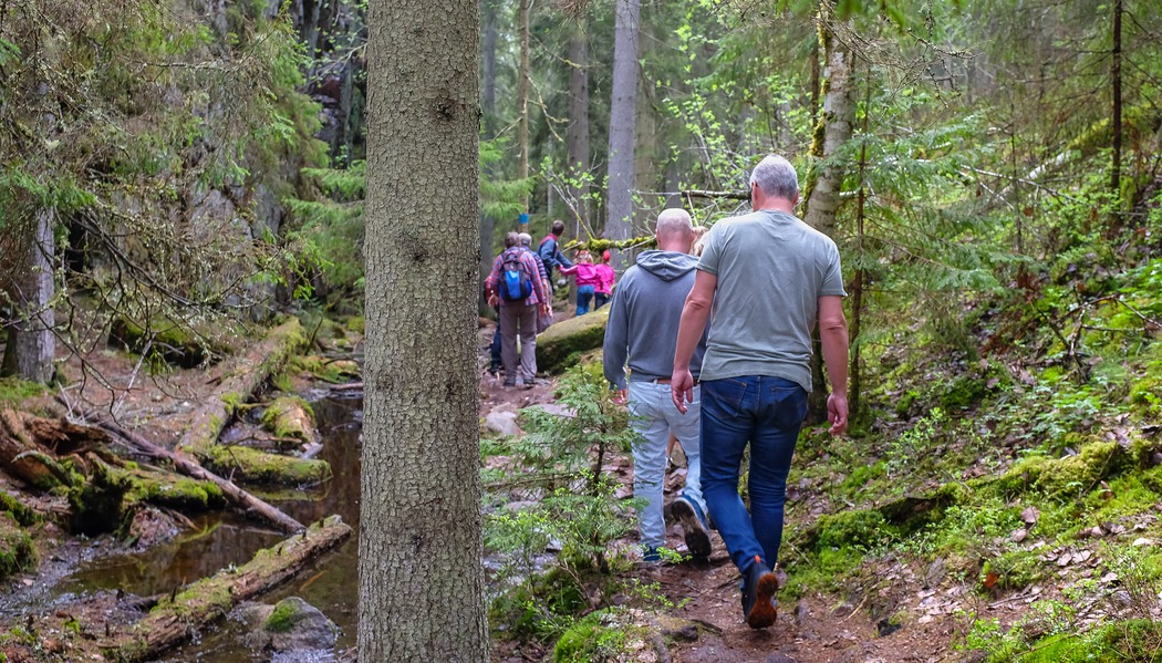 Människor som går i skogen