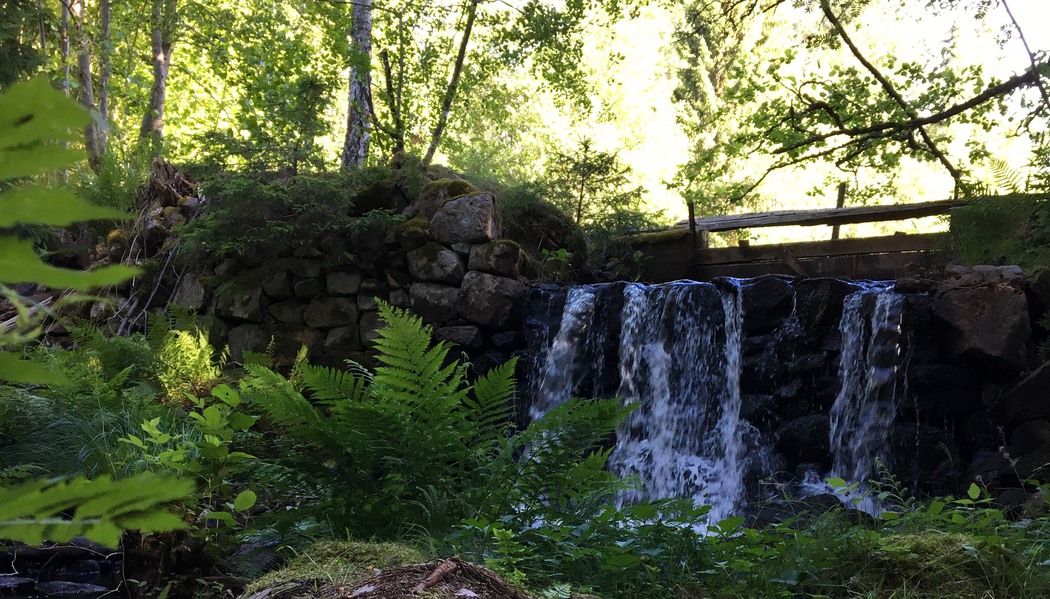 Vattenfall i skogen
