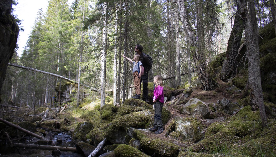 Människor i skogen