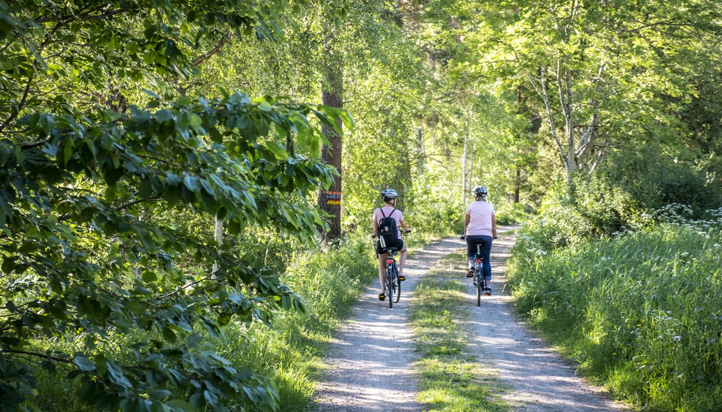 Cykling i natur