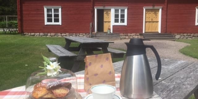 Visit Eksjö logga