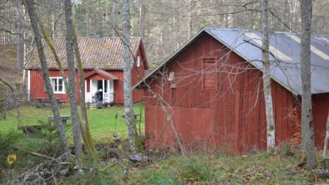 En bild bestående av två röda hus i en skog. Det ena huset ligger i förgrunden mot höger och det andra huset ligger en bit bort i bakgrunden mot vänster. Framför husen är det några trädstammar.