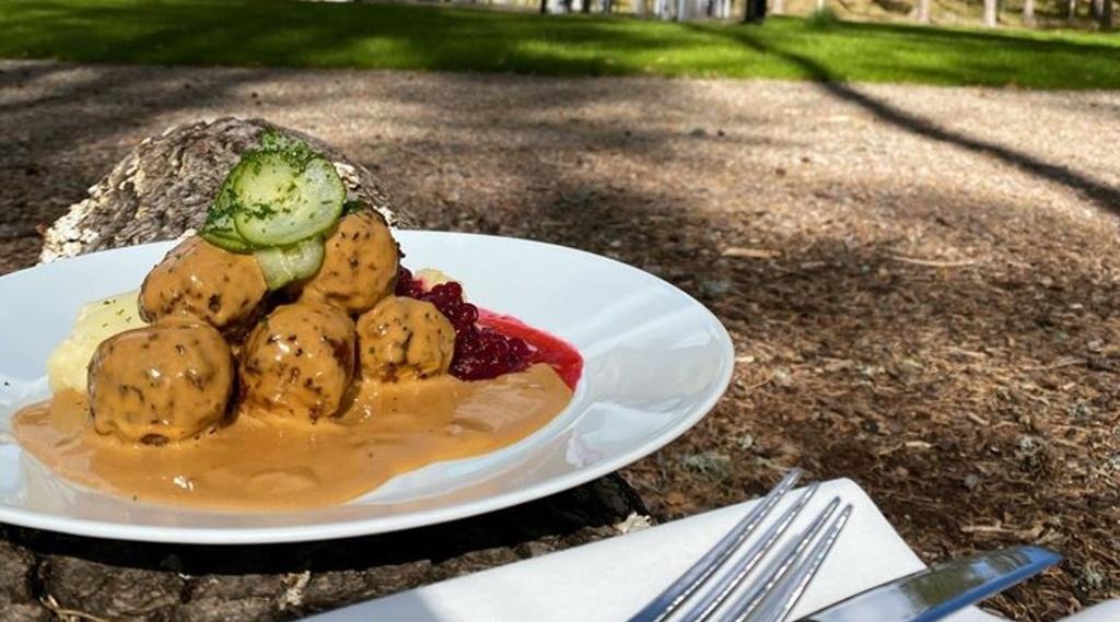 Köttbullar med potatismos