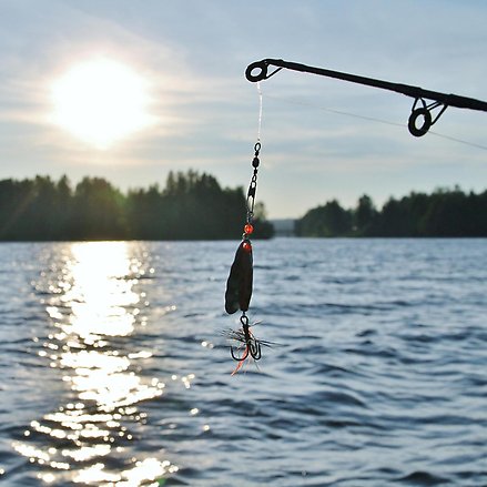 Fiskedrag i solnedgång