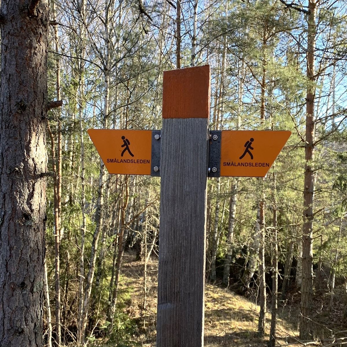 www.visiteksjo.se