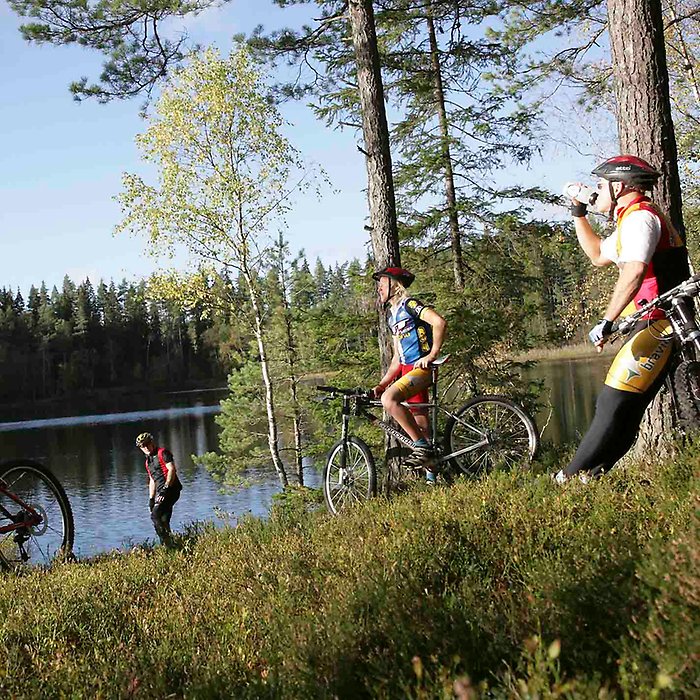 Cyklister pausar i skogen