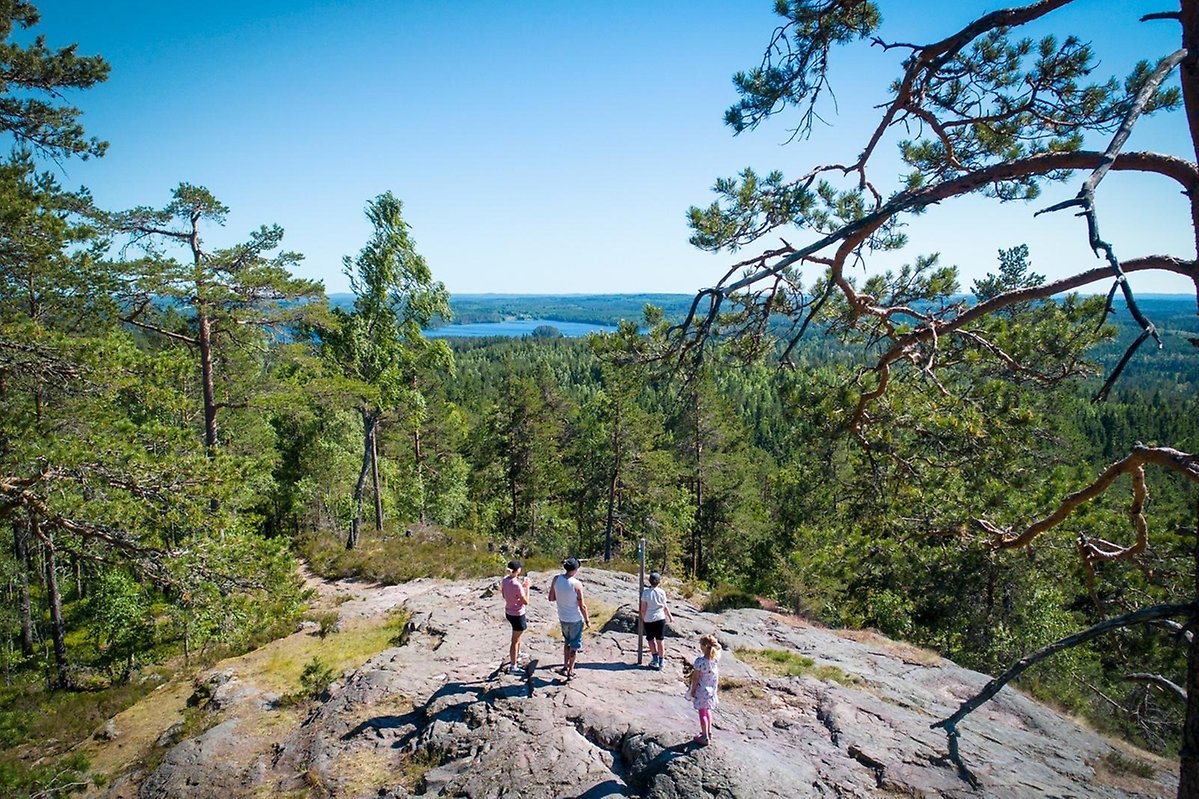 Utsiktsplatsen Skuruhatt, 337 meter över havet.