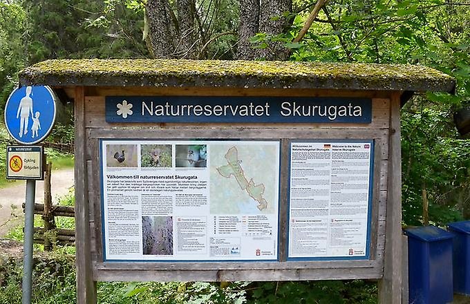 Skylt vid Skurugata